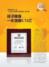 扬子晚报广告品牌价值分析