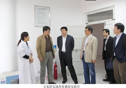 ​中国税务报整版广告版面形式