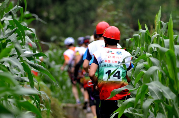 三立扬子晚报注销公告
