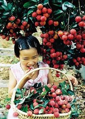 合肥晚报联系方式