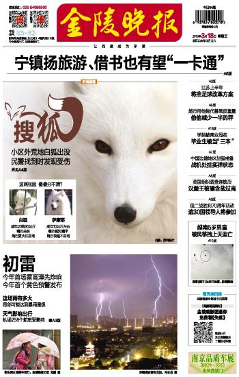 金陵晚报建材招商