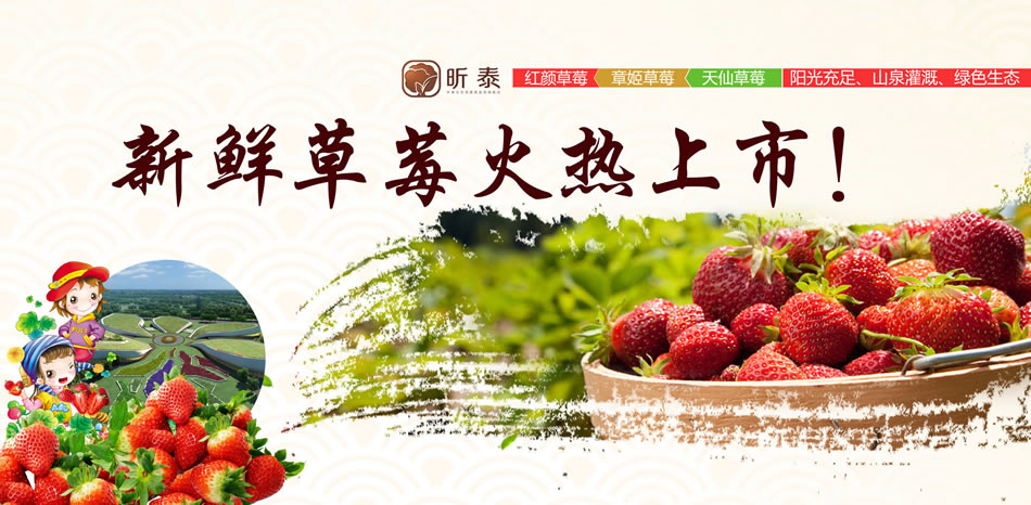 南京麒骏人注销扬子晚报登报公告