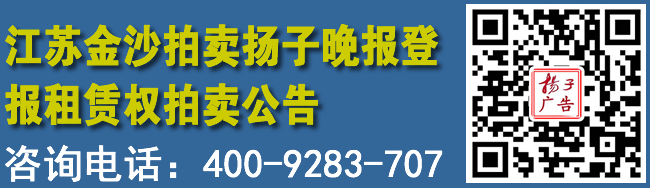江苏金沙拍卖扬子晚报登报租赁权拍卖公告