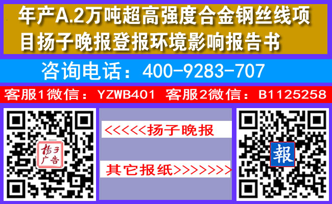 年产A.2万吨超高强度合金钢丝线项目扬子晚报登报环境影响报告书