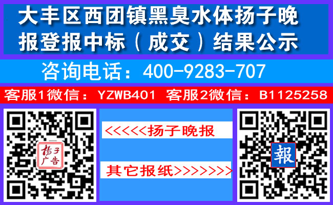 大丰区西团镇黑臭水体扬子晚报登报中标（成交）结果公示