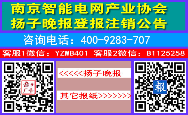 南京智能电网产业协会扬子晚报登报注销公告