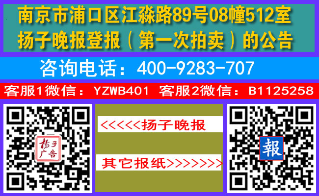 南京市浦口区江淼路89号08幢512室扬子晚报登报（第一次拍卖）的公告
