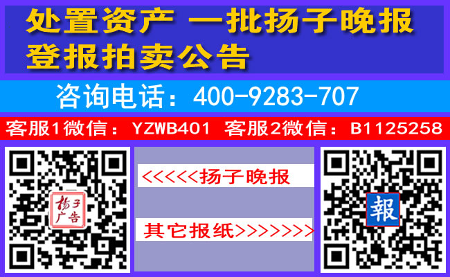 处置资产一批扬子晚报登报拍卖公告